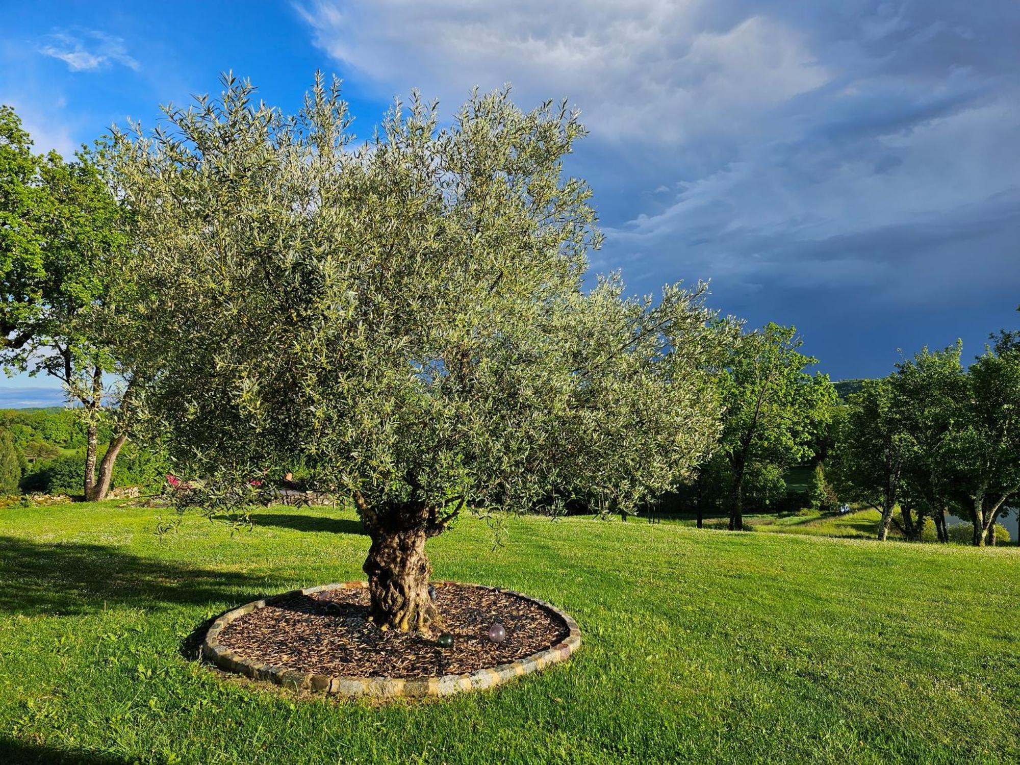 Le Gite Du Souffle Des Anges Sauveterre (Tarn-et-Garonne) Exterior foto